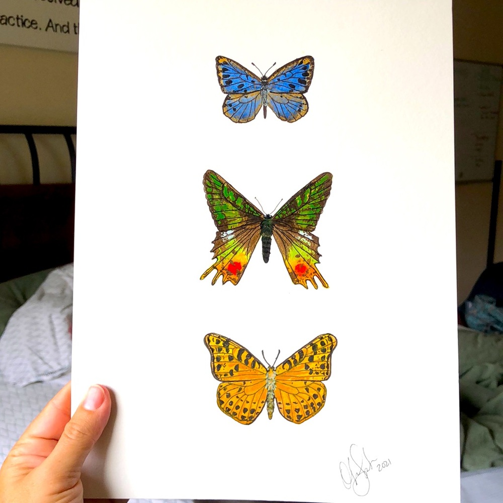 Butterfly Prints, Original Painting
